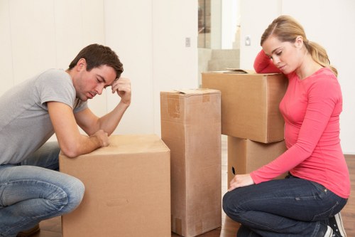 Professional van service for furniture transport in Woodside
